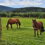 Apartizer Swieradow Zdroj Apartment Pobiedna