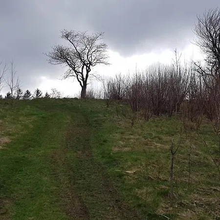 公寓 Apartizer Swieradow Zdroj *