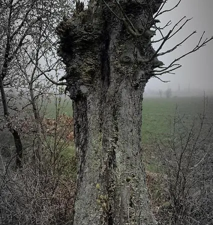 公寓 Apartizer Swieradow Zdroj *