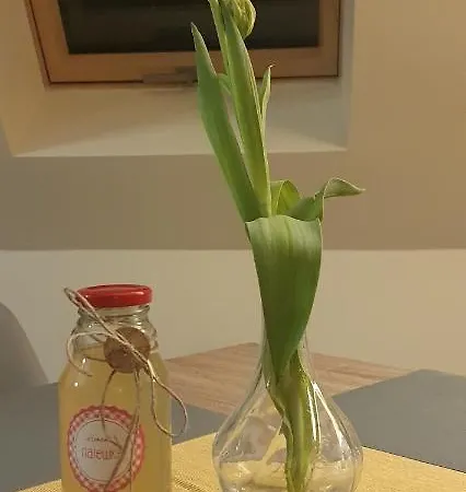 Apartizer świeradów Zdrój Pobiedna