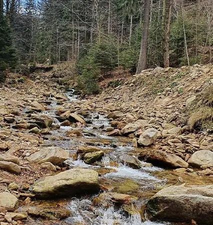 公寓 Apartizer Swieradow Zdroj *