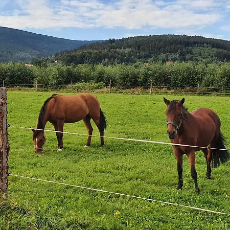 Apartizer Swieradow Zdroj 公寓 Pobiedna