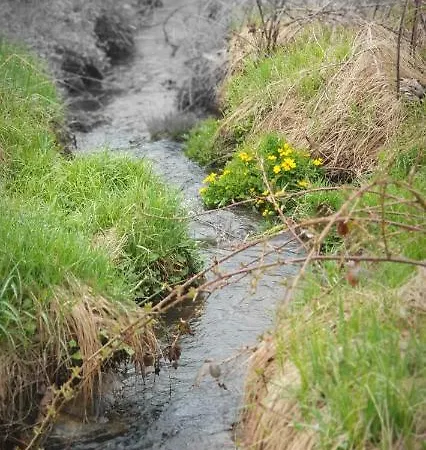 公寓 Apartizer Swieradow Zdroj