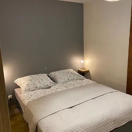 Apartizer Swieradow Zdroj 公寓