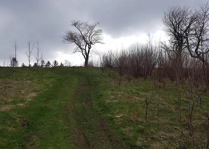 Apartman Apartizer Swieradow Zdroj *