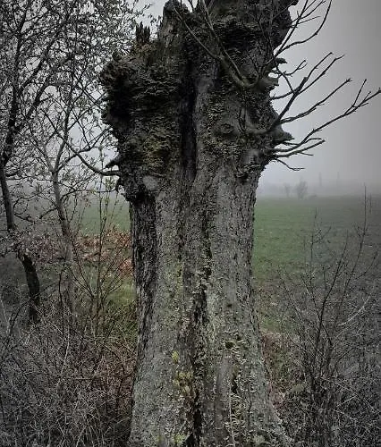 Apartman Apartizer Swieradow Zdroj *