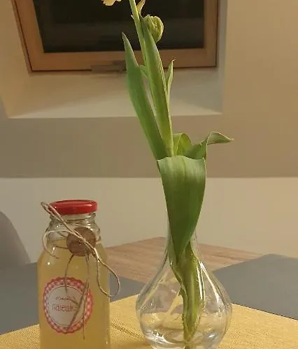 Apartizer Swieradow Zdroj Pobiedna