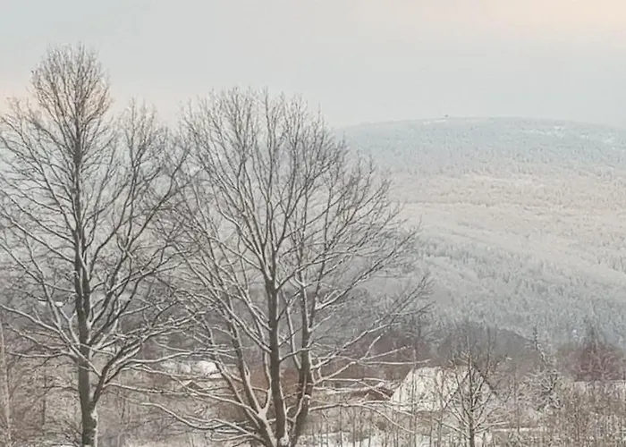 Apartizer Swieradow Zdroj