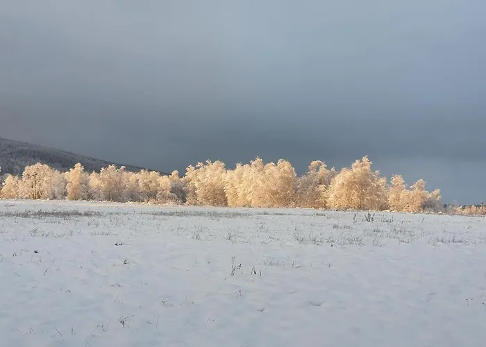 Apartizer Swieradow Zdroj Pobiedna