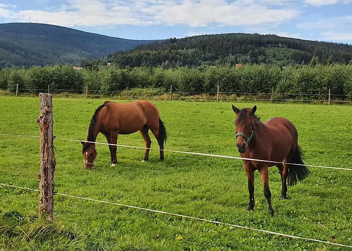Apartizer Swieradow Zdroj Apartman Pobiedna