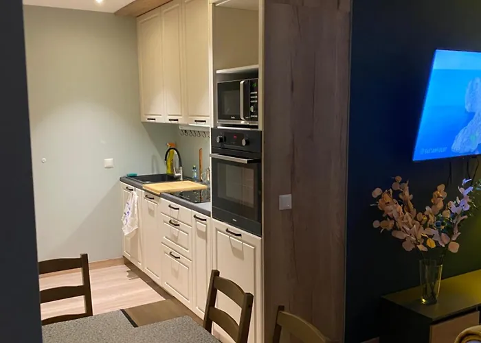 Apartizer Swieradow Zdroj